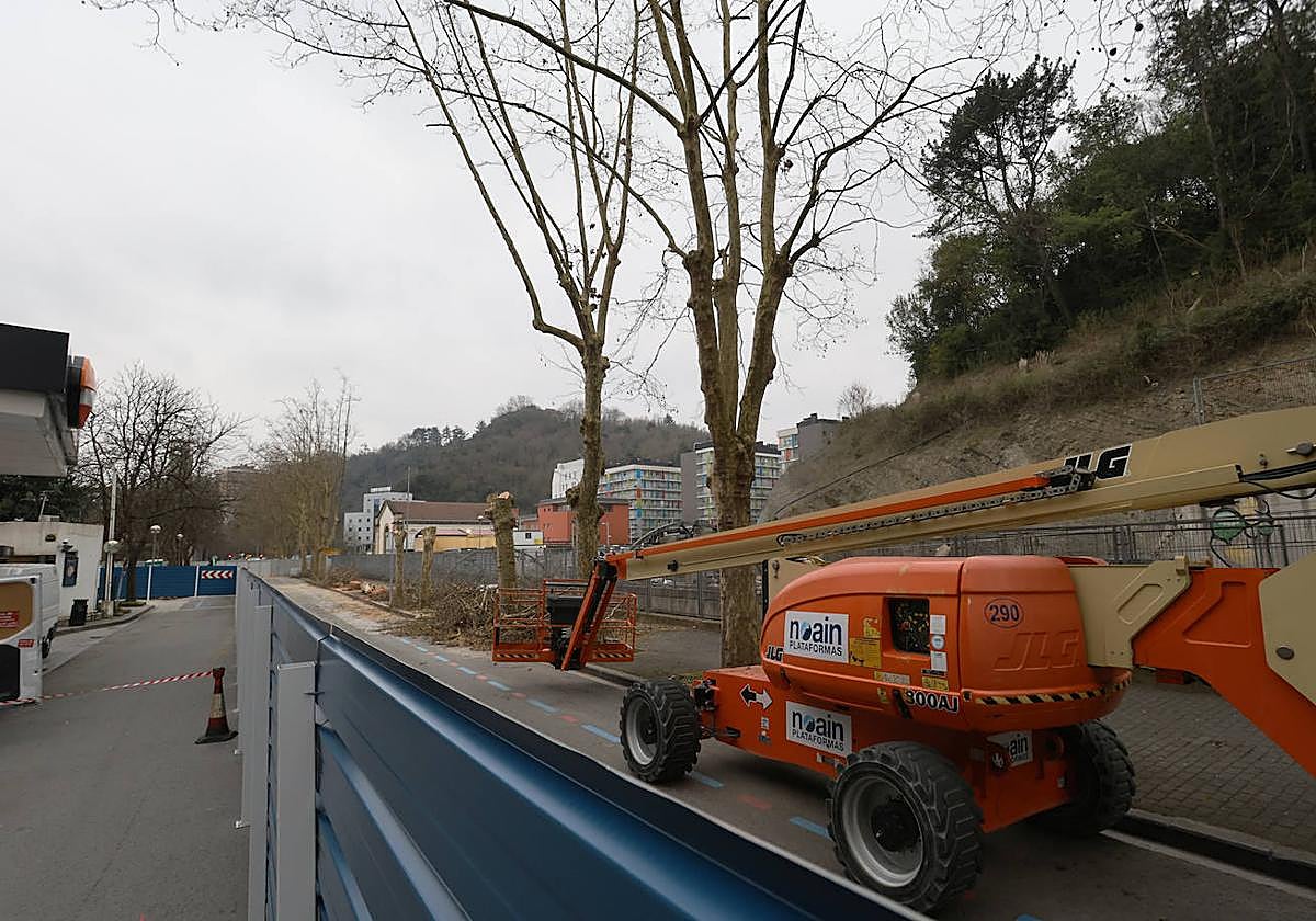La anunciada tala de una veintena de plataneros de grandes dimensiones con motivo de las obras del Topo comenzó ayer en el paseo de Errondo, una acción que la asociación de vecinos de Amara Berri califica de «atropello irreversible». Algunos ejemplares alcanzaban varios pisos de altura. gorka estrada.