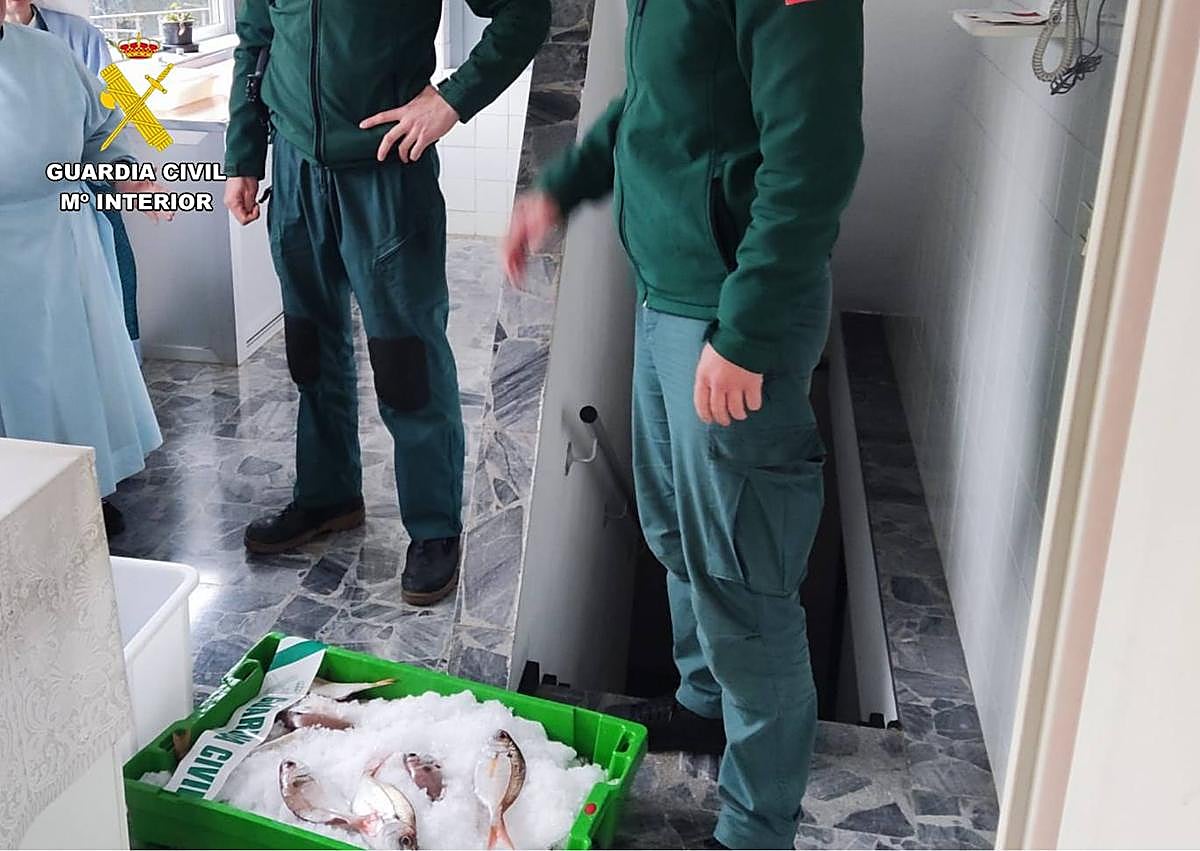 Imagen secundaria 1 - Denunciada una embarcación de pesca recreativa por capturar 60 besugos inmaduros