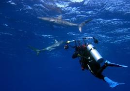 Patxi Iriarte, con su equipo de fotografía submarina captado por otro compañero fotógrafo, ante tiburones.