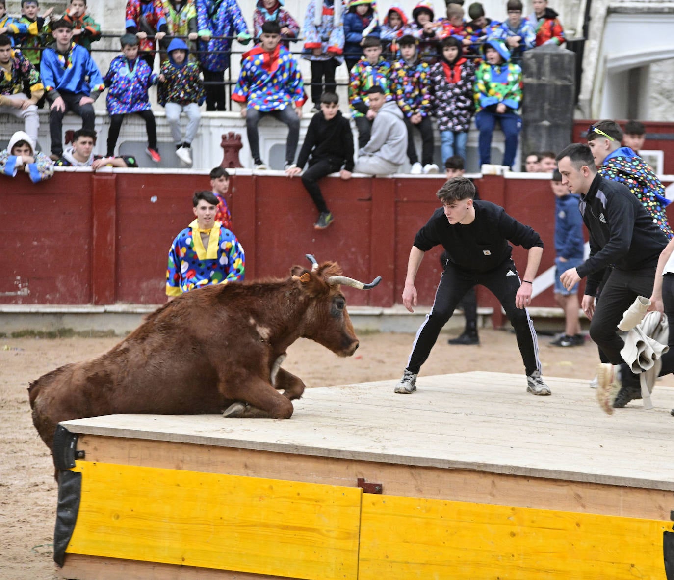 Ya es Carnaval en Tolosa