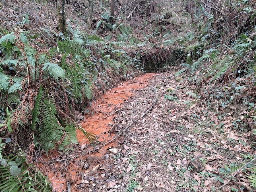 Arranoaitz, un paseo entre cimas