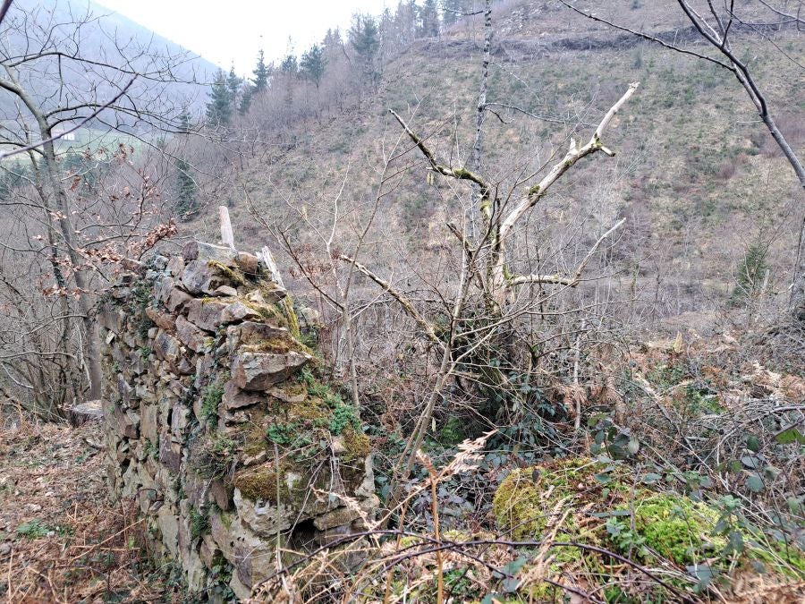 Arranoaitz, un paseo entre cimas