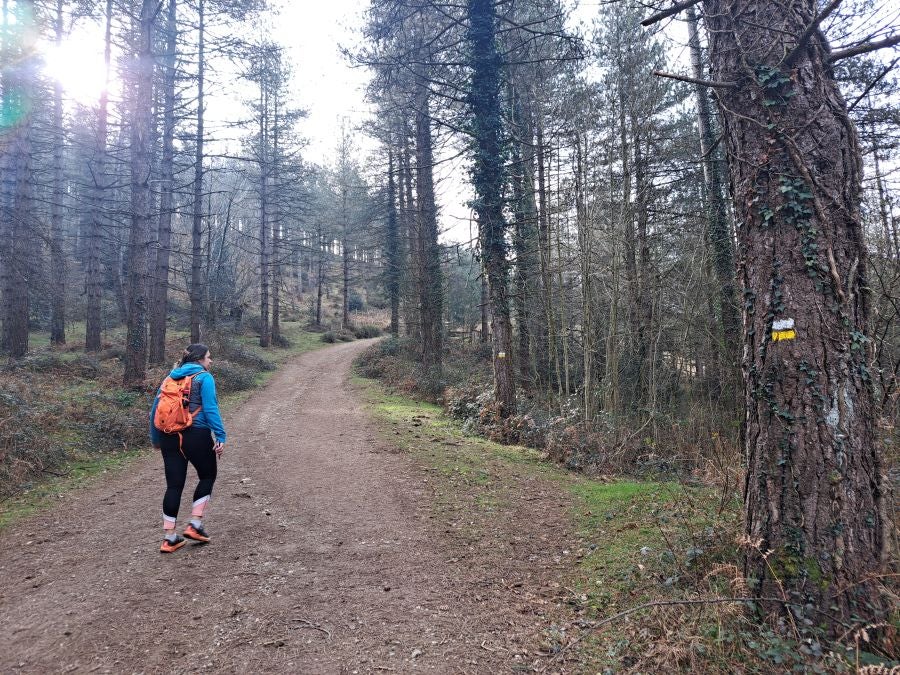 Arranoaitz, un paseo entre cimas