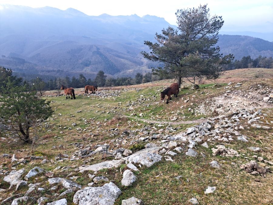 Arranoaitz, un paseo entre cimas