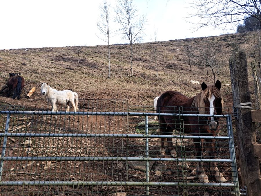 Arranoaitz, un paseo entre cimas