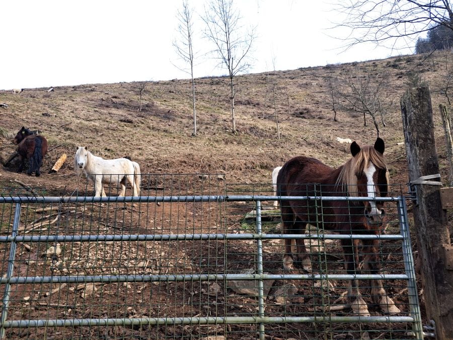 Arranoaitz, un paseo entre cimas