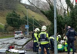 Bomberos y sanitarios atienden al hombre que quedó atrapado en el barrio de Zubieta por un árbol que alcanzó a su mujer.