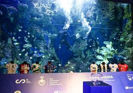 Dos submarinistas 'rescatan' la copa entre los peces, en la presentación de este martes de la Copa en el Aquarium de Donostia.
