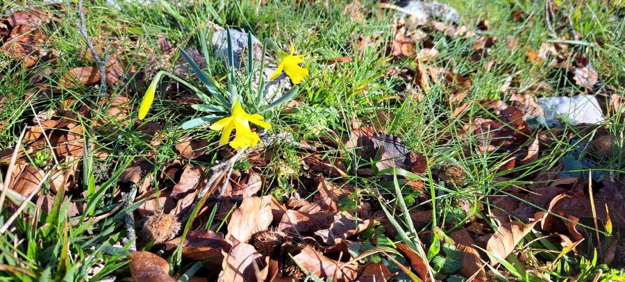 Unas espectaculares vistas desde la cima de Andia