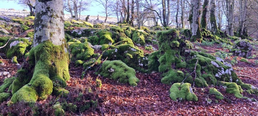 Unas espectaculares vistas desde la cima de Andia