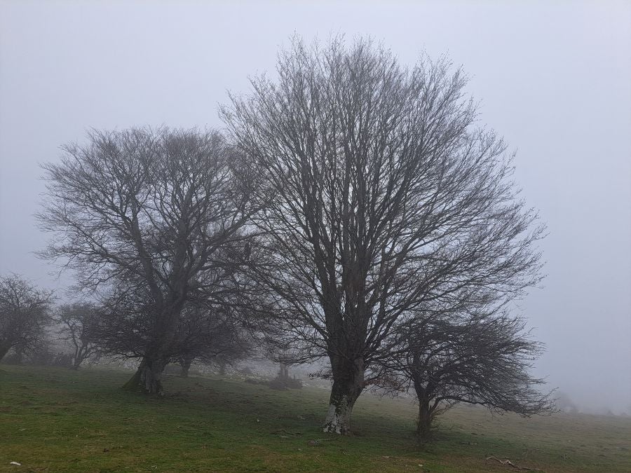 Unas espectaculares vistas desde la cima de Andia