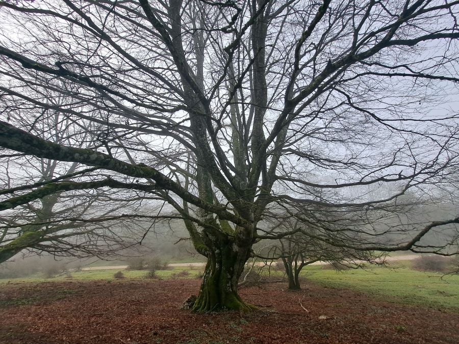 Unas espectaculares vistas desde la cima de Andia