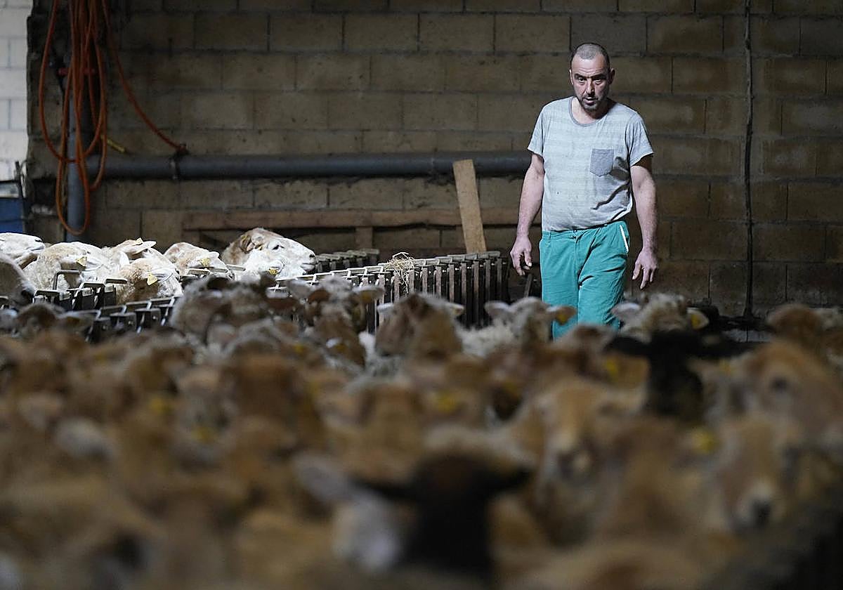«Seguimos vendiendo la leche a pérdidas y también la carne»