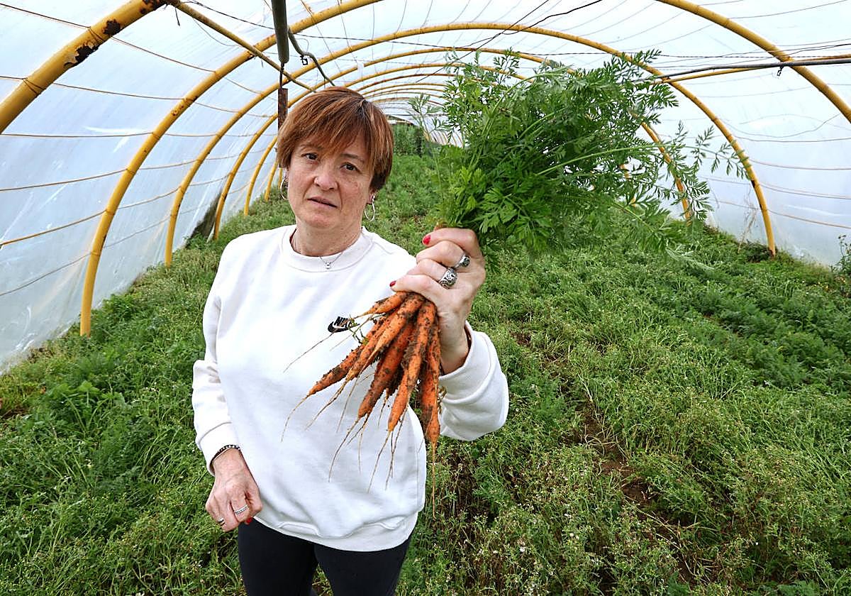 Otaño muestra unas zanahorias plantadas en su huerta de una hectárea en Urnieta.