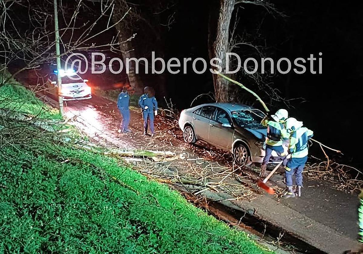 Los bomberos han trabajado esta madrugada para retirar el árbol caído
