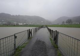 Campos inundados de agua en el municipio de Berastegi.