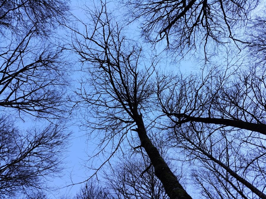 Disfrutando de las vistas desde la cima de Azkenatz