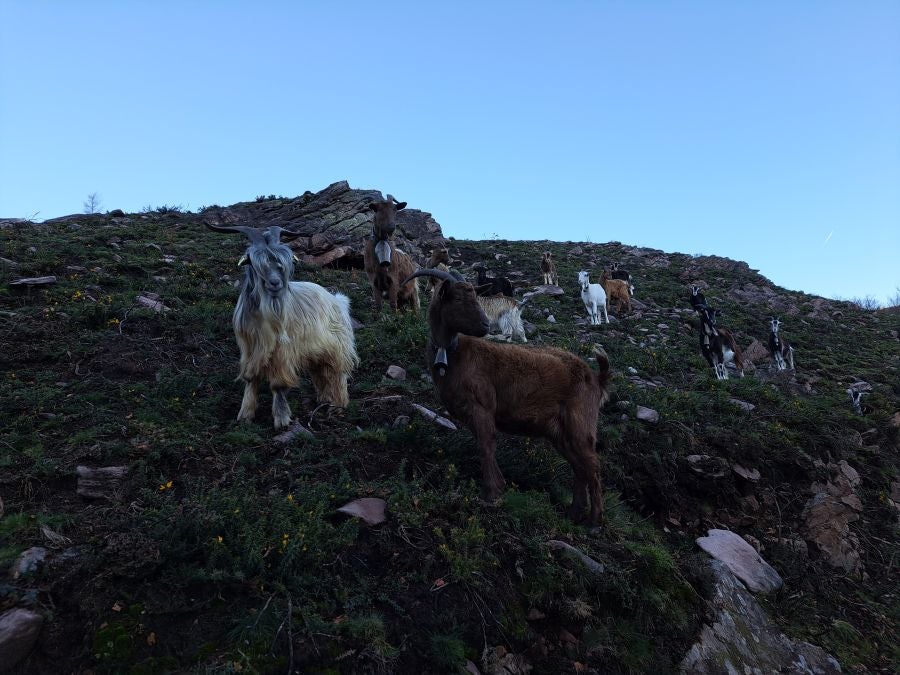 Disfrutando de las vistas desde la cima de Azkenatz