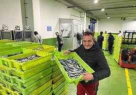 Descarga de anchoa en Ondarroa esta semana.