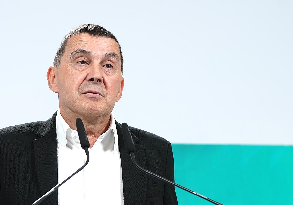 Otegi asegura que además de una mujer grave hay más heridos en los incidentes previos al Real-PSG