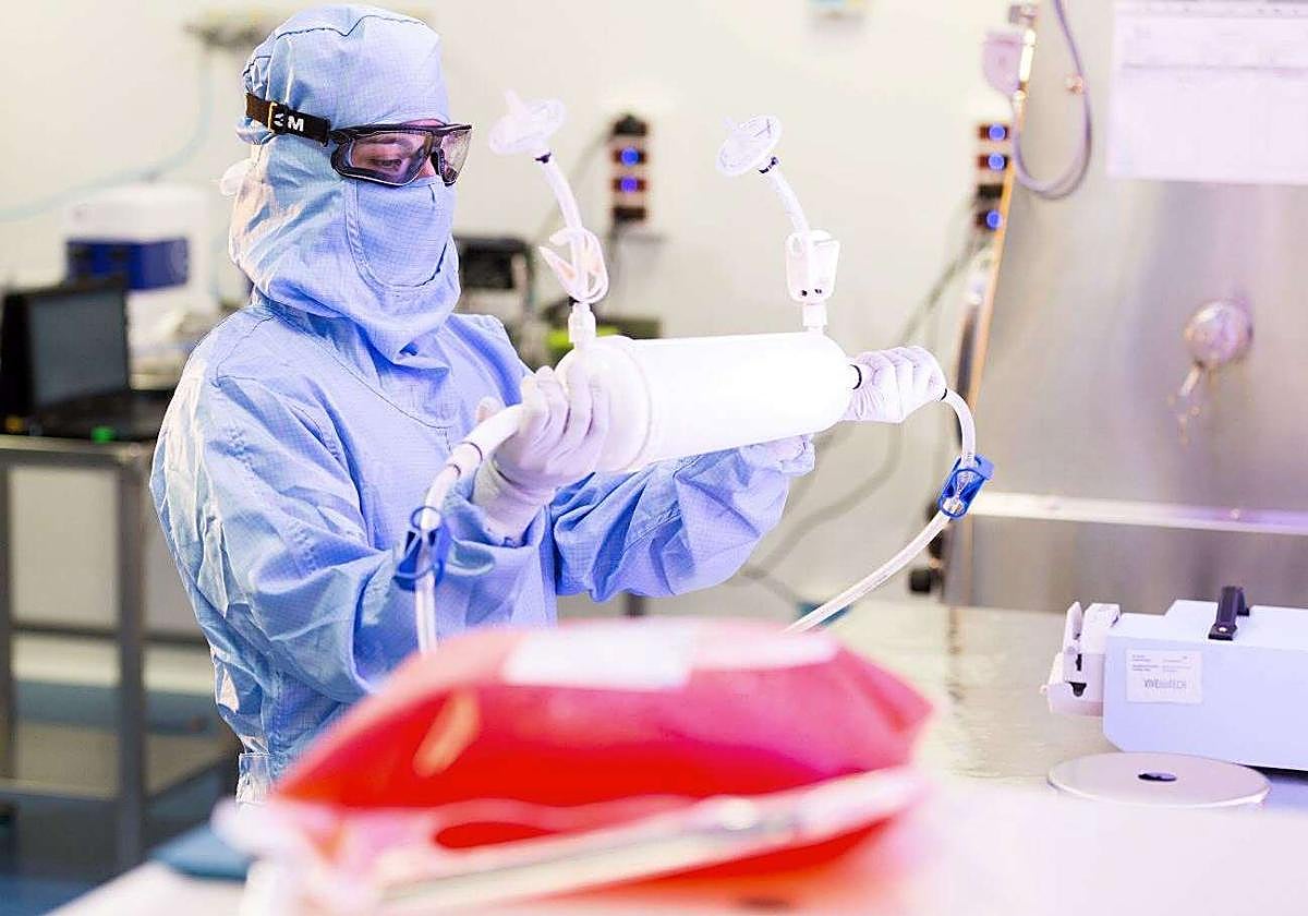 Un investigador trabaja en un laboratorio de VIVEBiotech, en Donostia.