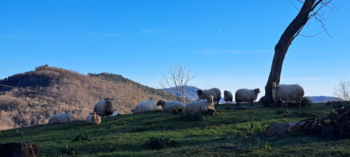 Las mejores imágenes de la salida al monte Akola