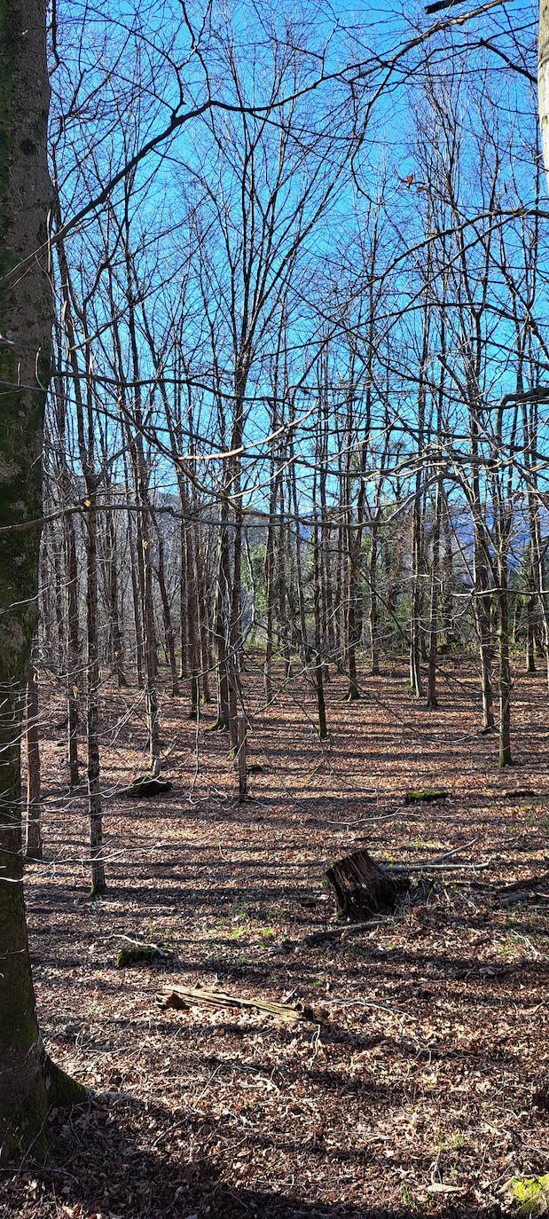 Las mejores imágenes de la salida al monte Akola