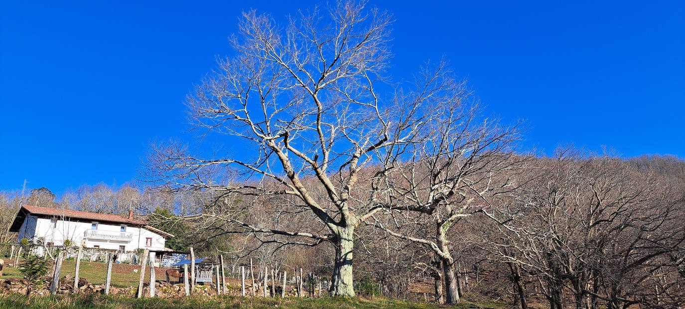 Las mejores imágenes de la salida al monte Akola