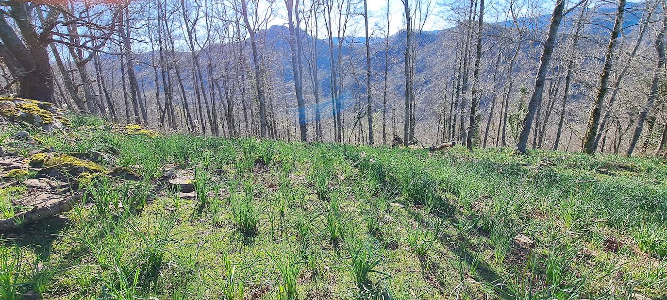 Las mejores imágenes de la salida al monte Akola