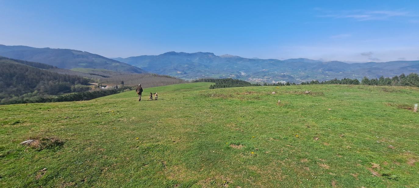 Arizmendi, hermoso rincón de Tolosaldea