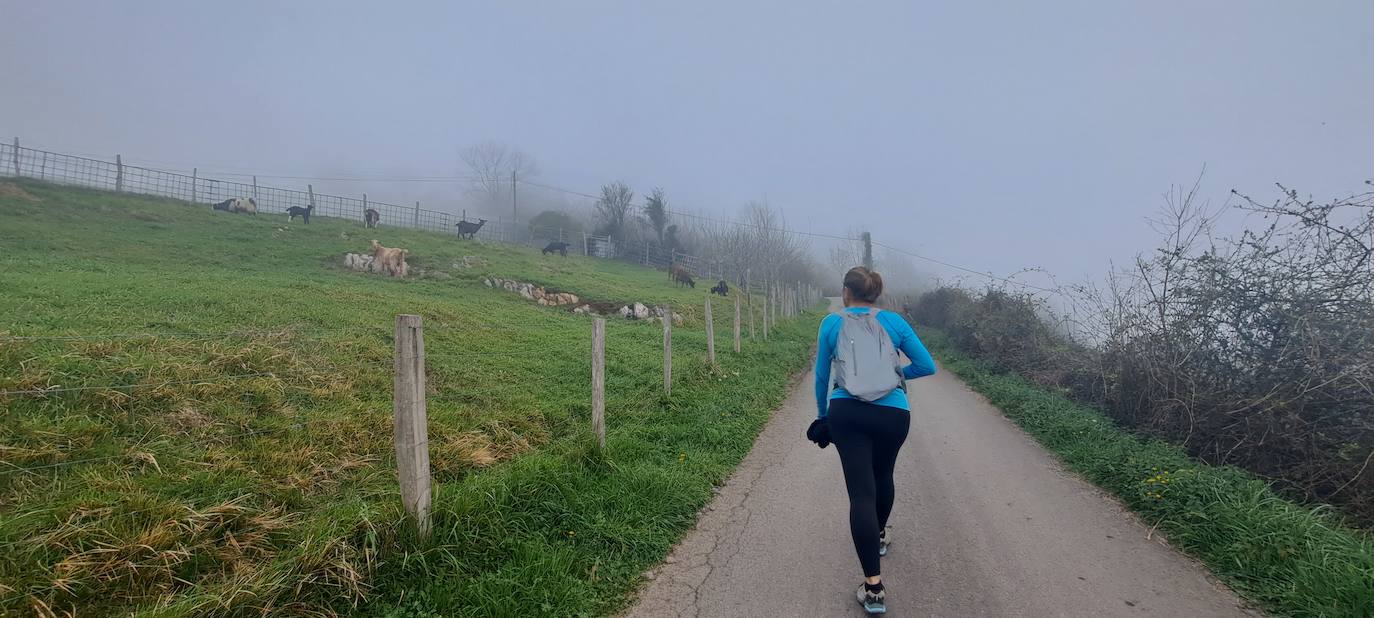 Arizmendi, hermoso rincón de Tolosaldea