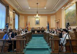 El Pleno aprobó una nueva moción sobre la atención y las infraestructuras de la sanidad pública en la ciudad.