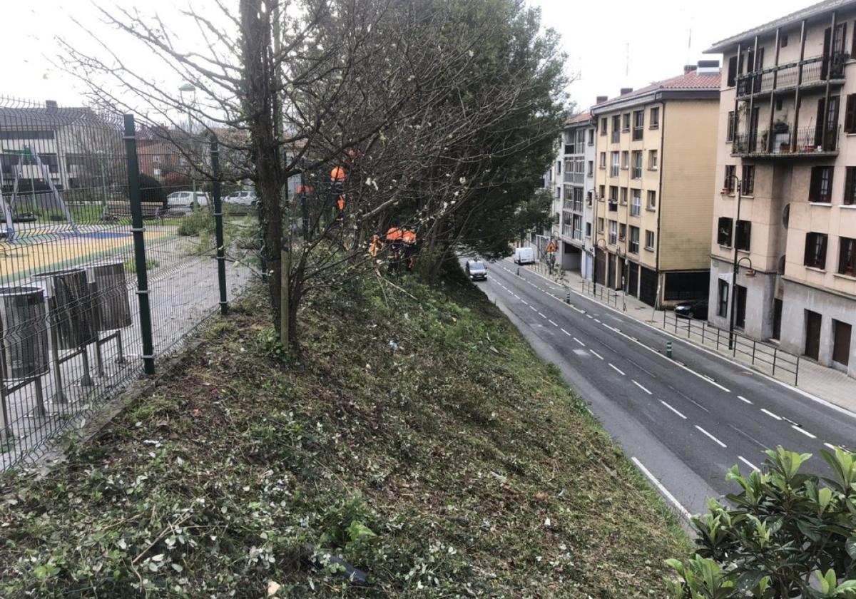 La zona verde en la que se ha realizado la intervención.