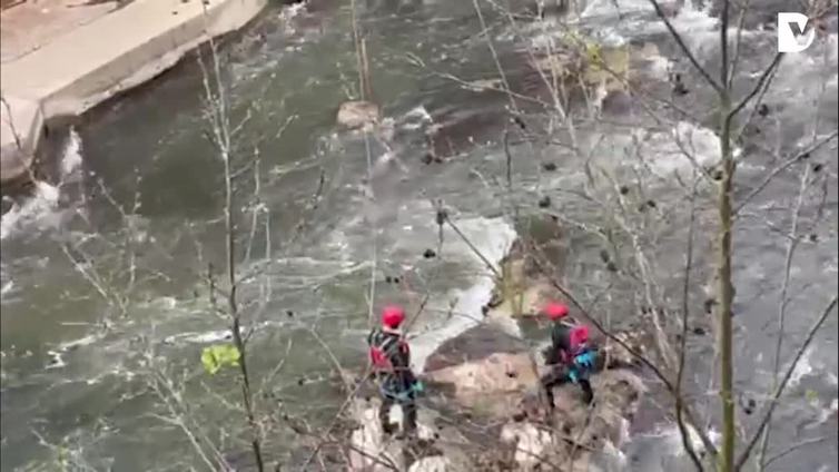 Bomberos rescatan el cuerpo de un jabalí en Soraluze