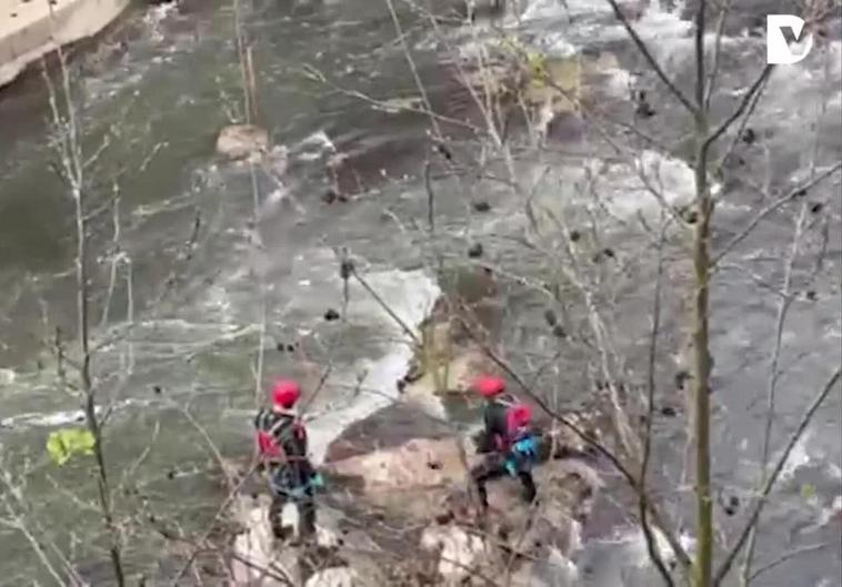 Rescatan un jabalí muerto del río en Soraluze