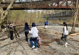 Imagen de algunos escolares limpiando las riberas en la zona del parque jurásico y del puente peatonal de hierro.