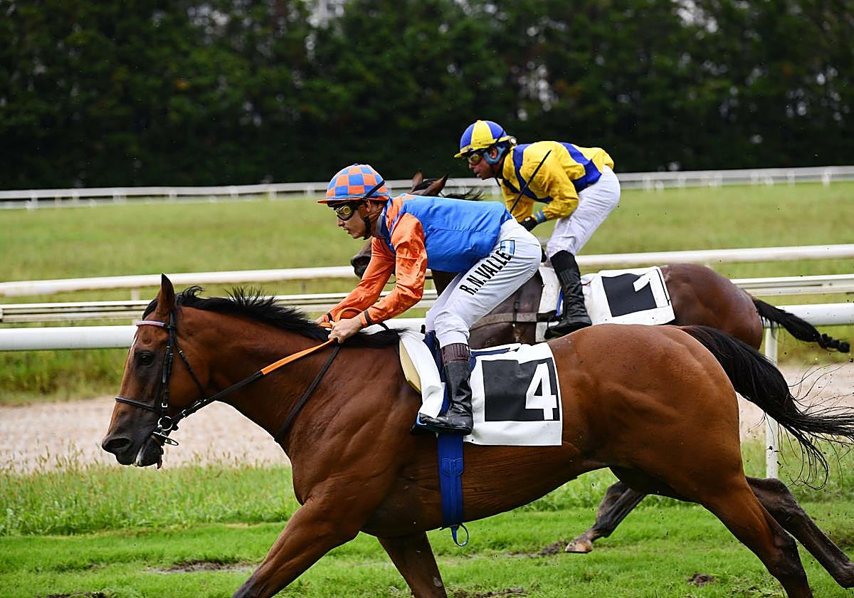 Arranca la temporada de primavera en Donostia