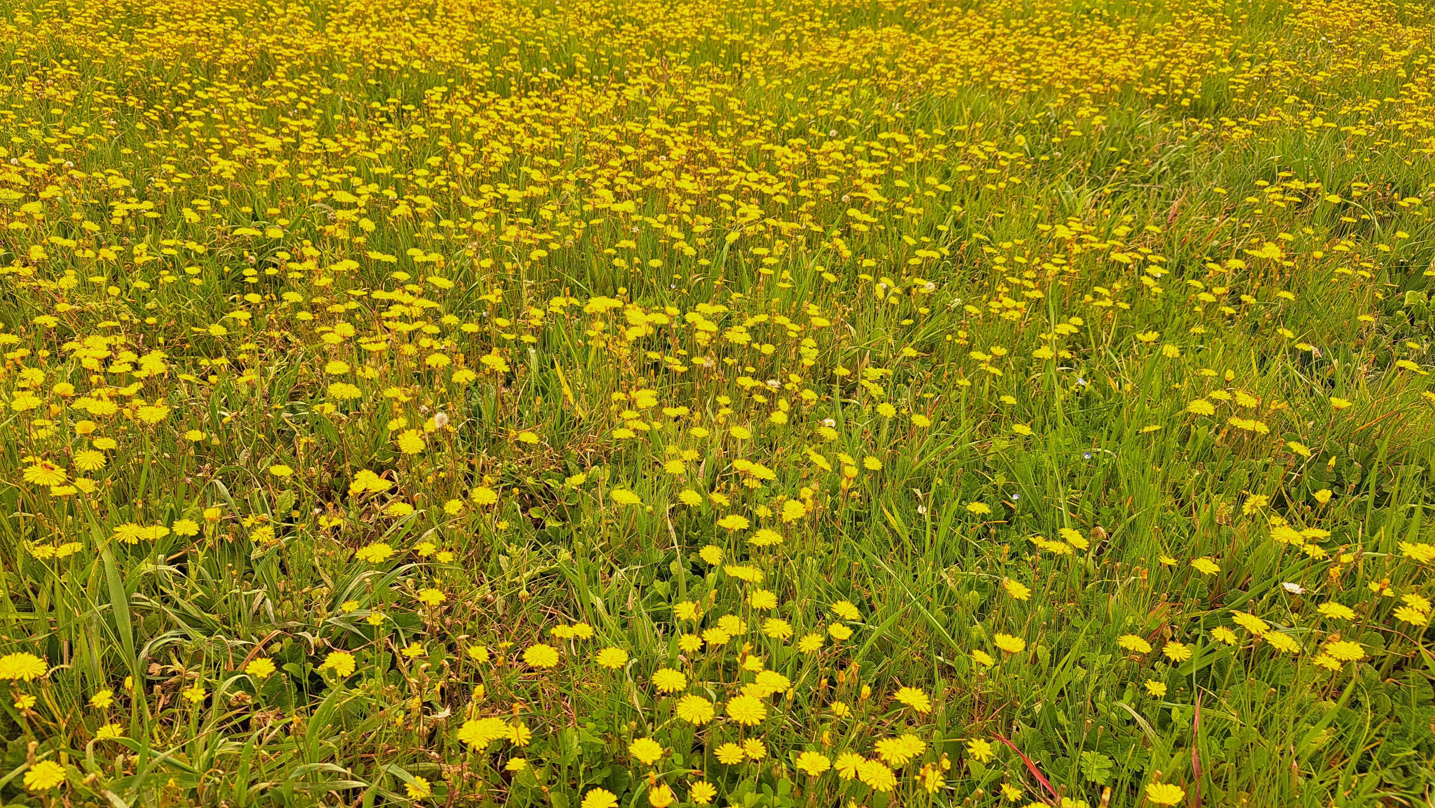 Garaño, entre las ruinas y Ollaran