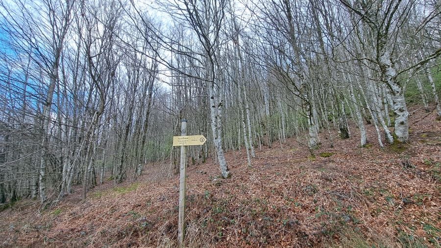 El monumento megalítico sobre la cima de Larrazpil