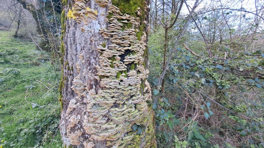 El monumento megalítico sobre la cima de Larrazpil