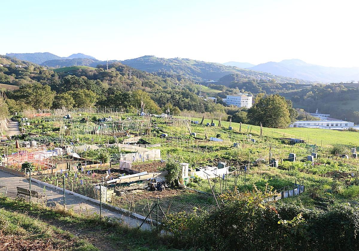 Huertas de la primera fase de Marrus, junto a Garbera.