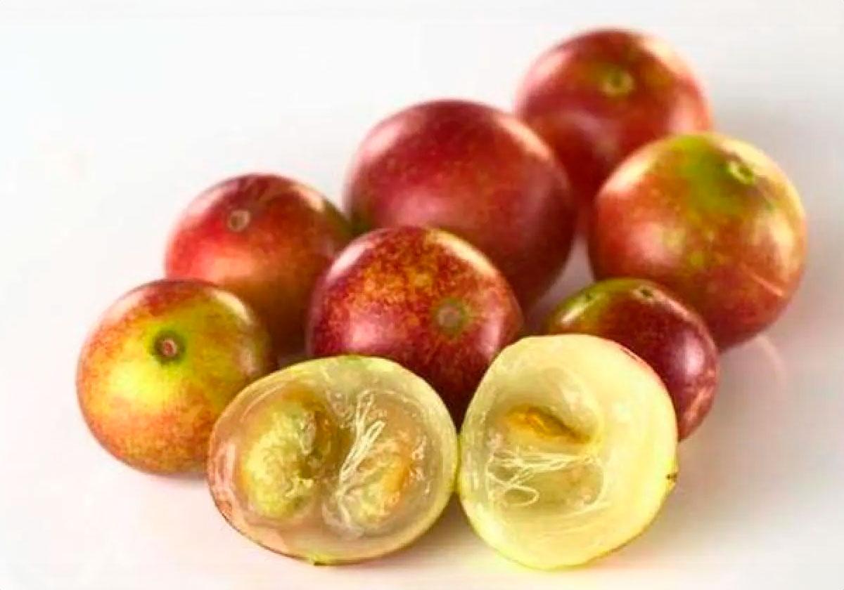 Camu camu, el superalimento que promueve la longevidad