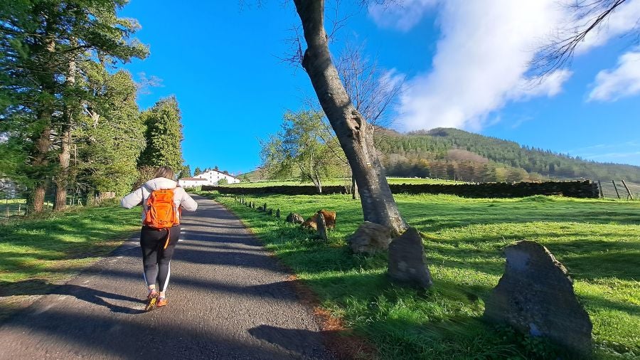 Irukurutzeta, siempre sorprendente