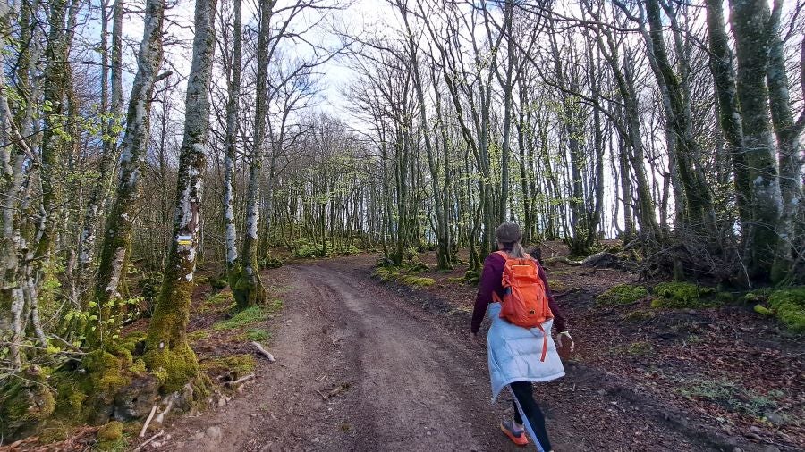 Irukurutzeta, siempre sorprendente