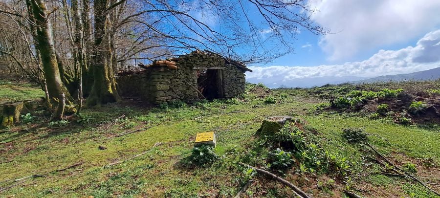 Irukurutzeta, siempre sorprendente