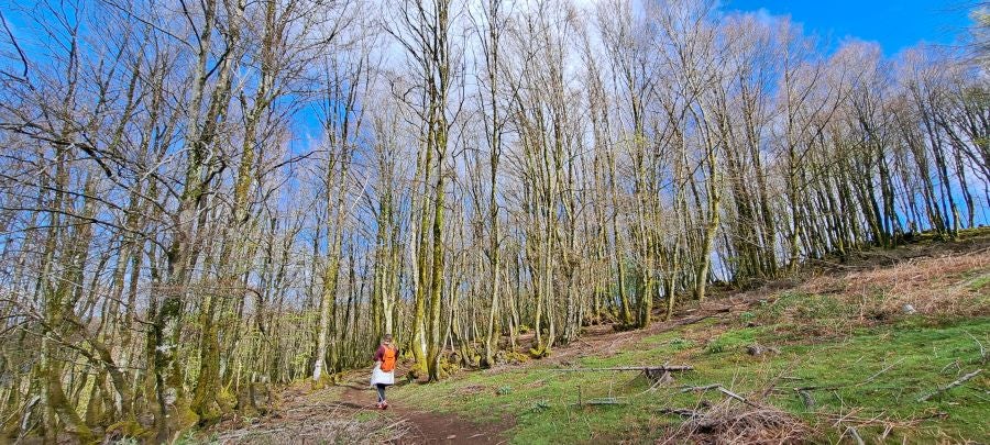 Irukurutzeta, siempre sorprendente