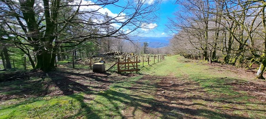 Irukurutzeta, siempre sorprendente