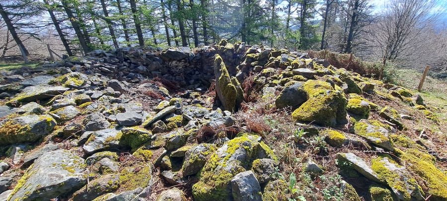 Irukurutzeta, siempre sorprendente