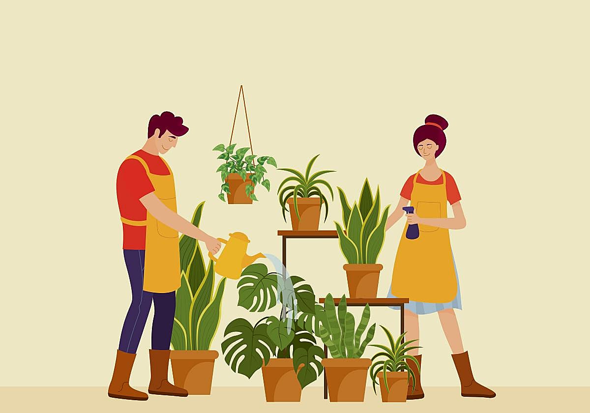 ¿Qué hacemos con los jardines?