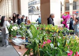 Los colores y aromas de la primavera impregnarán la plaza Gernikako Arbola con sus plantas y las flores.